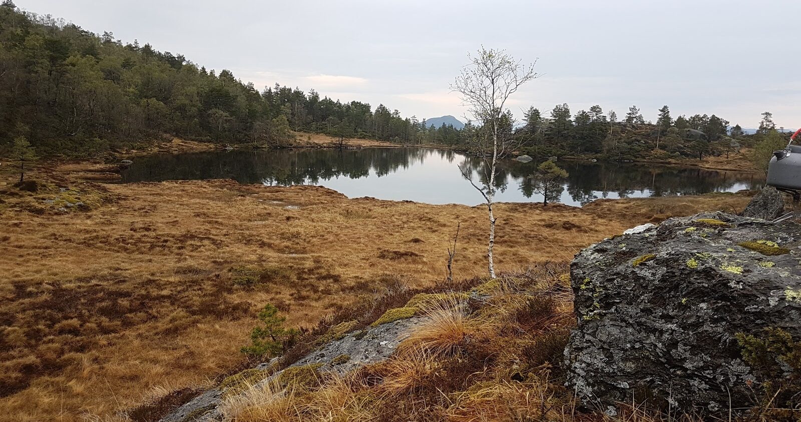 Svalefjell og Steinslandsnuten