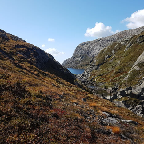 Grasdalen til Førresbotn