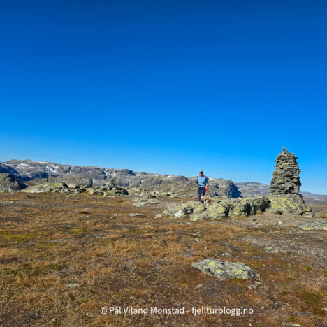 Lødalsheia og Higraheia