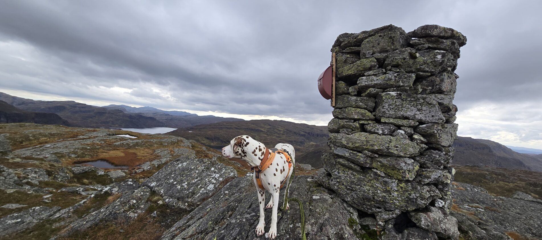 Nordfjellet og Austmannanuten