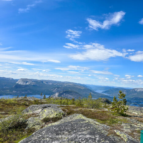Frettshovda