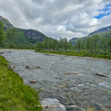 Øktarenuten fra Vestbø
