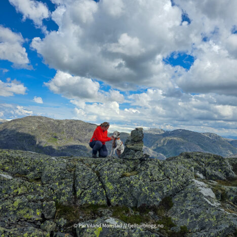 Vest for Førrevassdammen