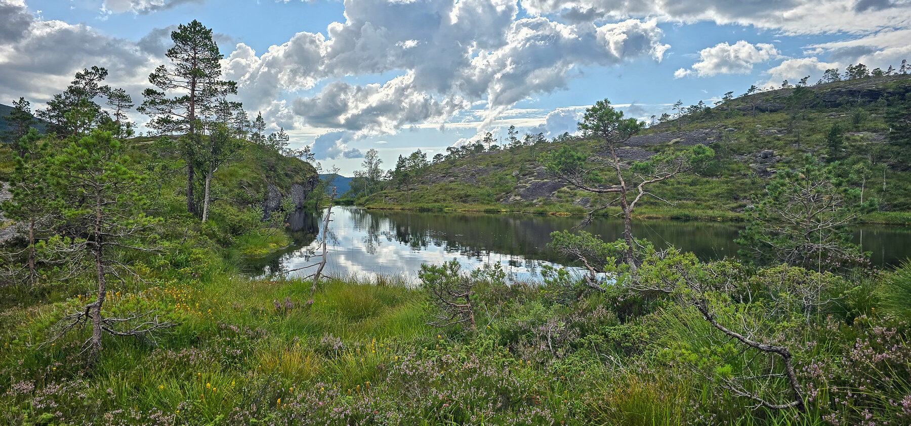 Bjørnstigen (rundtur)