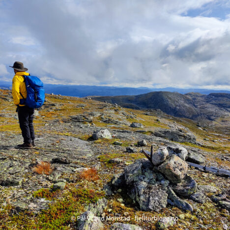 Blekvarden