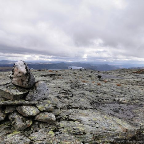 Storheddernuten