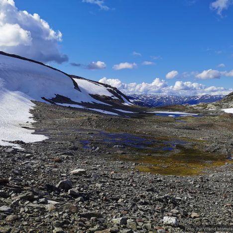 Topper rundt Svartavatn