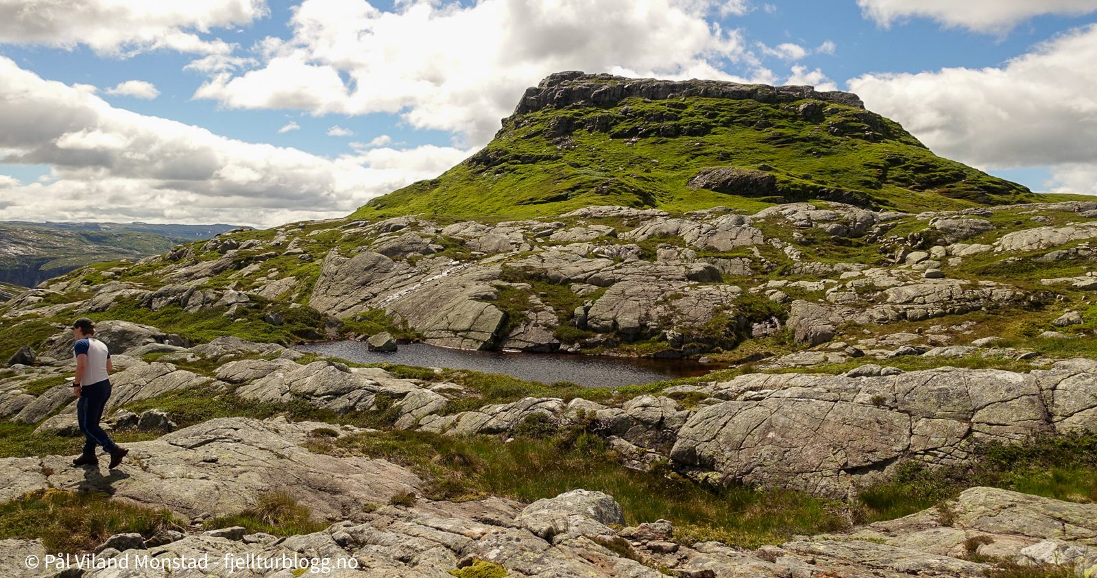 Kruneheia og Skjølsknuten