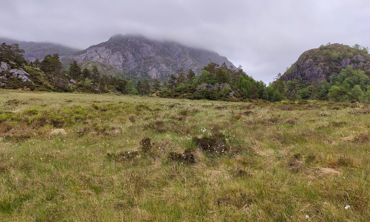 Steingilshøgda, Budalsfjellet og Klovfjellet