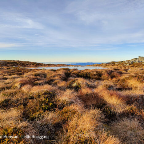 Høgafjellet