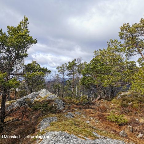 Såta i Tysvær