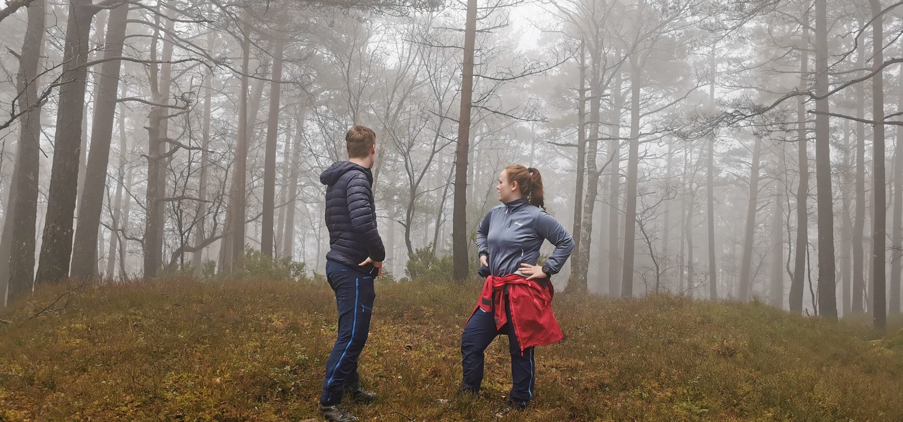 Gråtinden og Tveitåsen