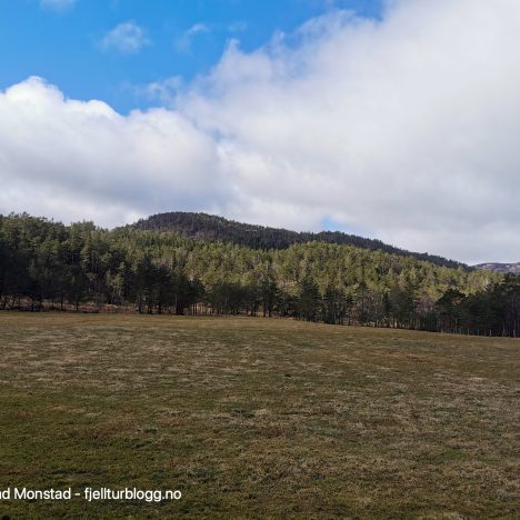 Grønlifjellet