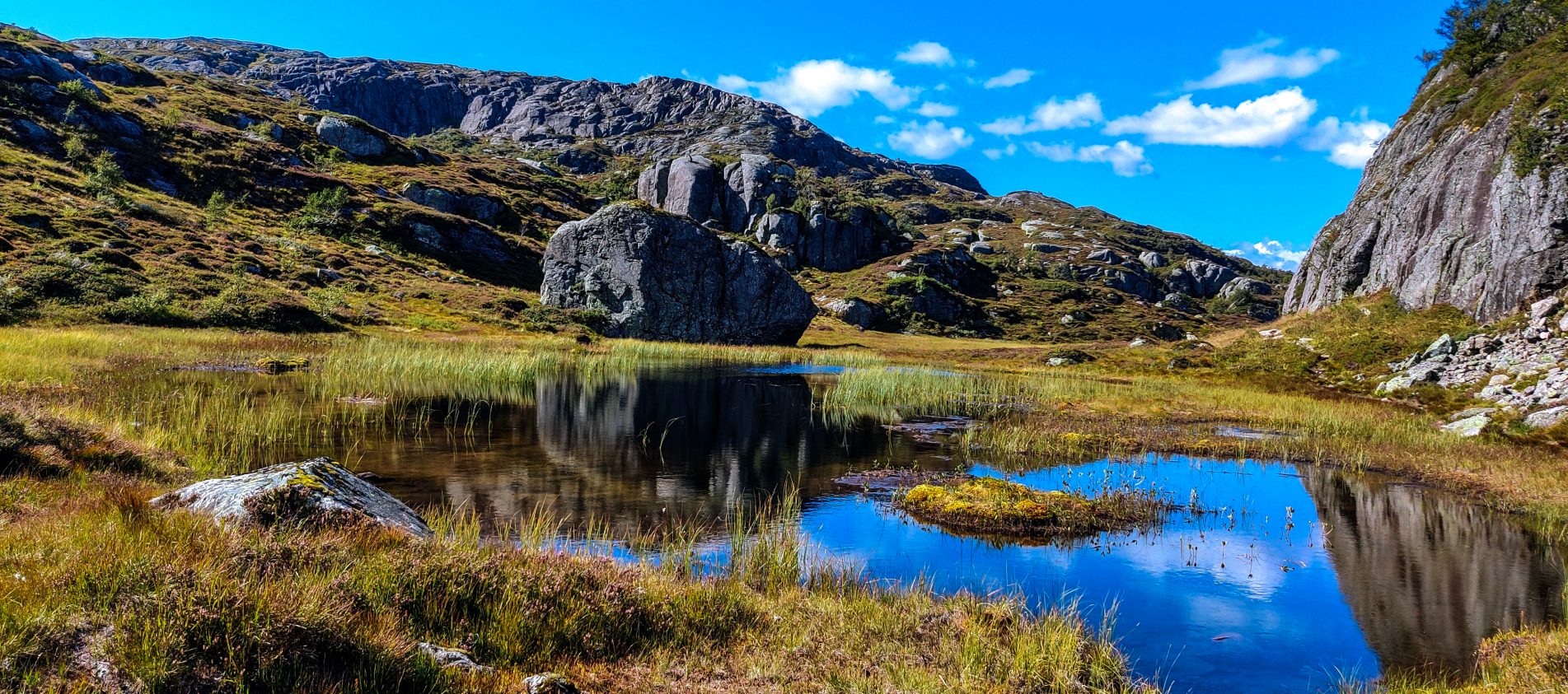 Skardnuten og Høgehei