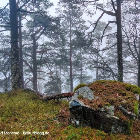 Håfjellet og Dalanuten