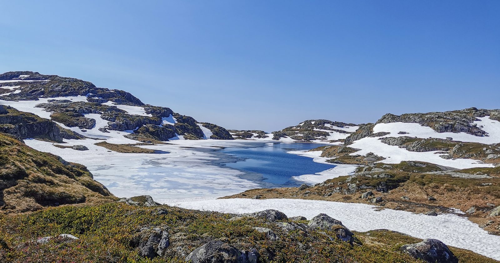 Topper sør for Reinsvatnet
