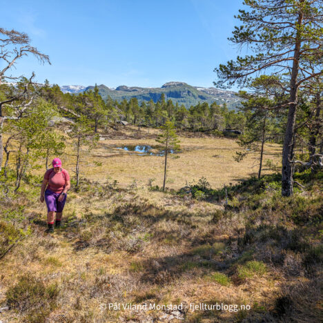 Storfjell