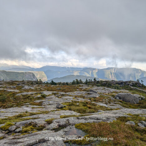 Lødalsheia og Higraheia